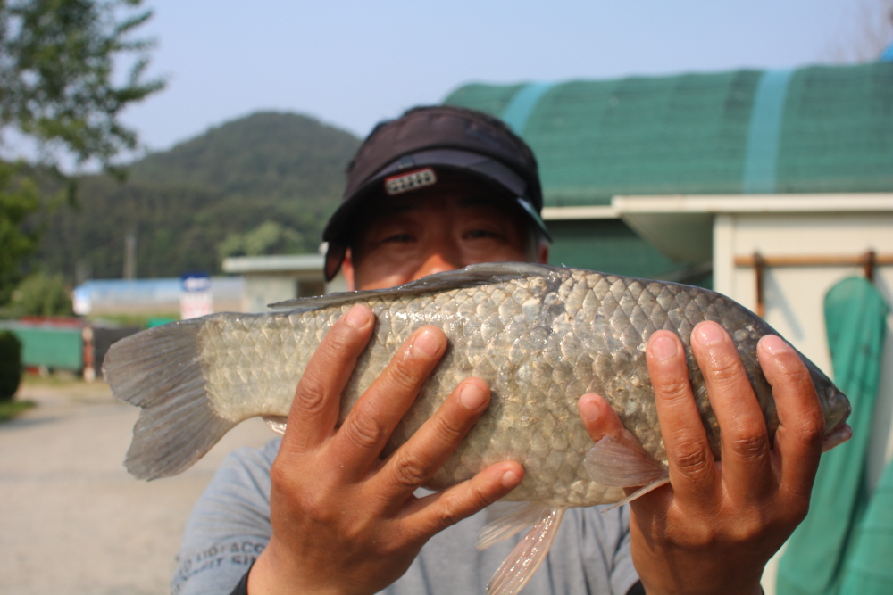 [크기변환]IMG_4403.JPG
