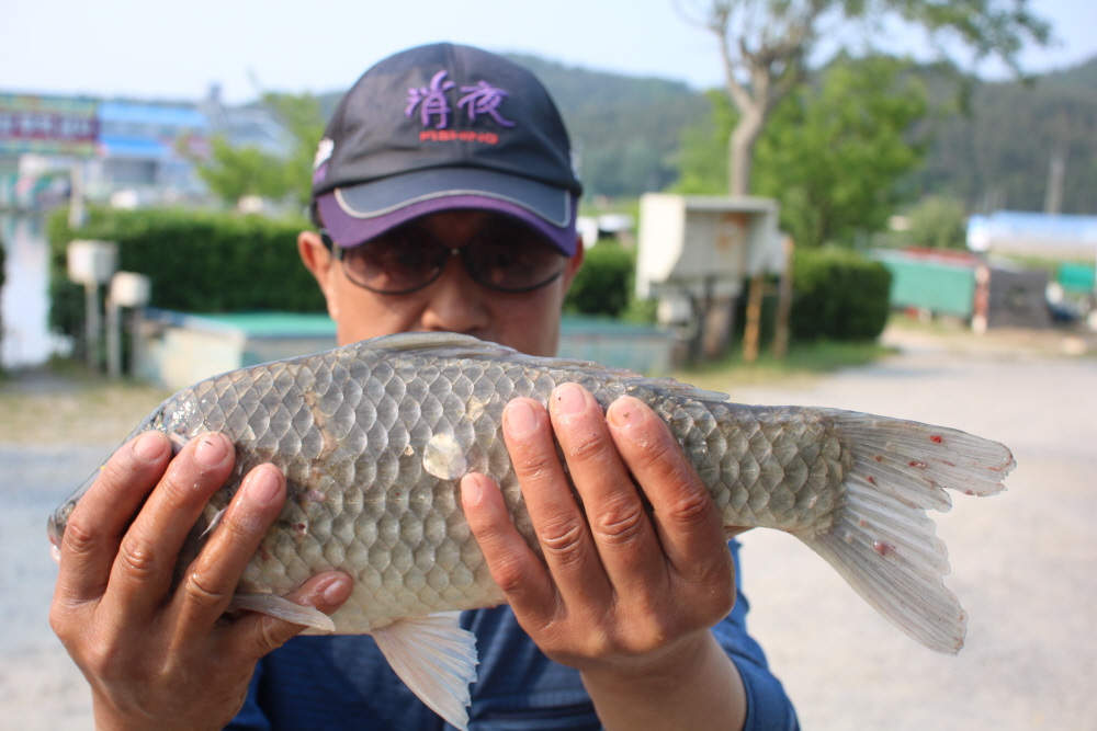 [크기변환]IMG_4408.JPG