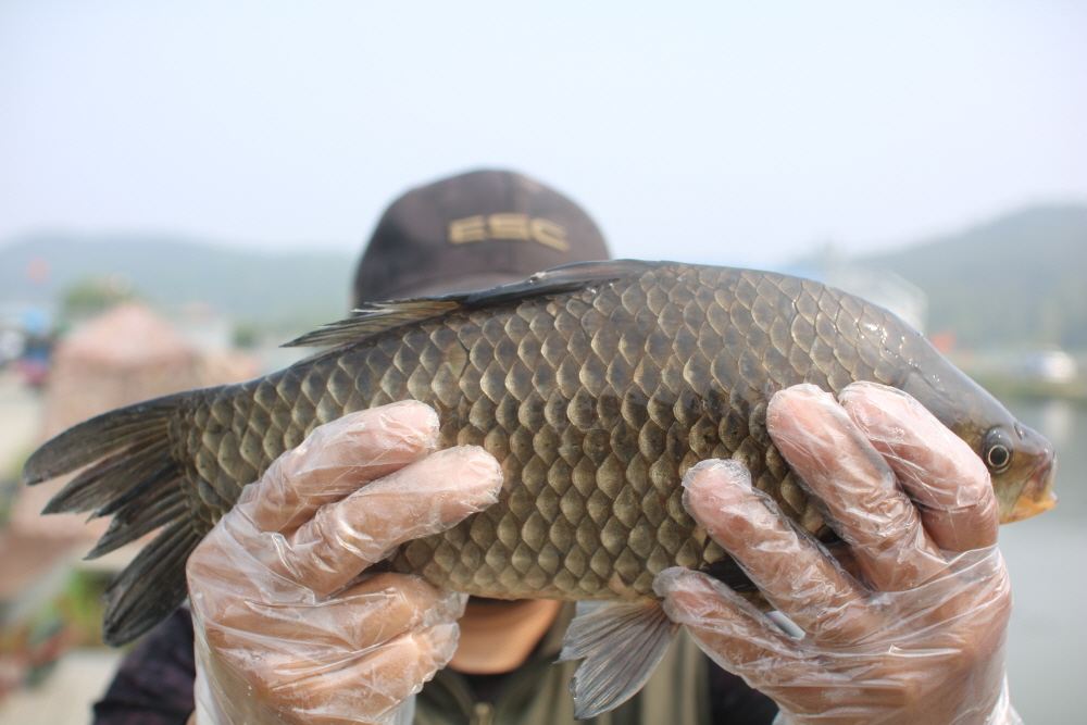 [크기변환]IMG_4451.JPG