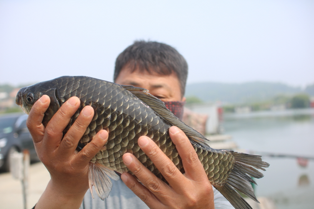 [크기변환]IMG_4453.JPG