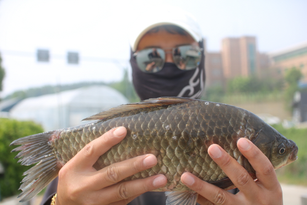 [크기변환]IMG_4518.JPG
