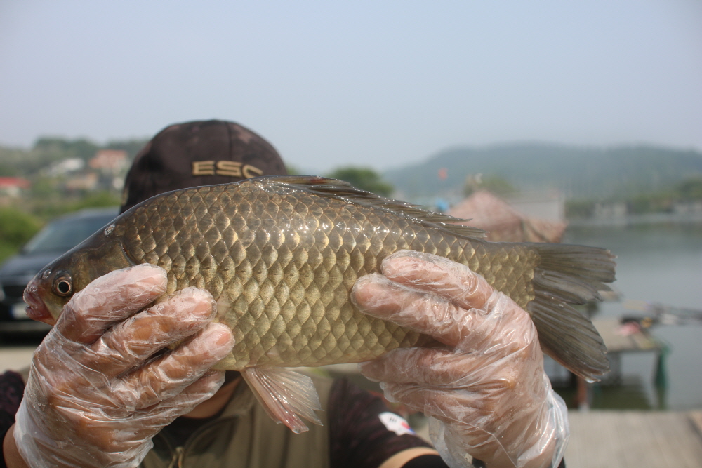 [크기변환]IMG_4497.JPG