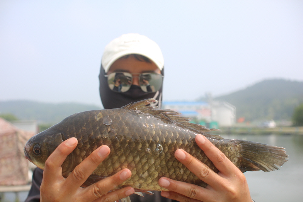 [크기변환]IMG_4530.JPG