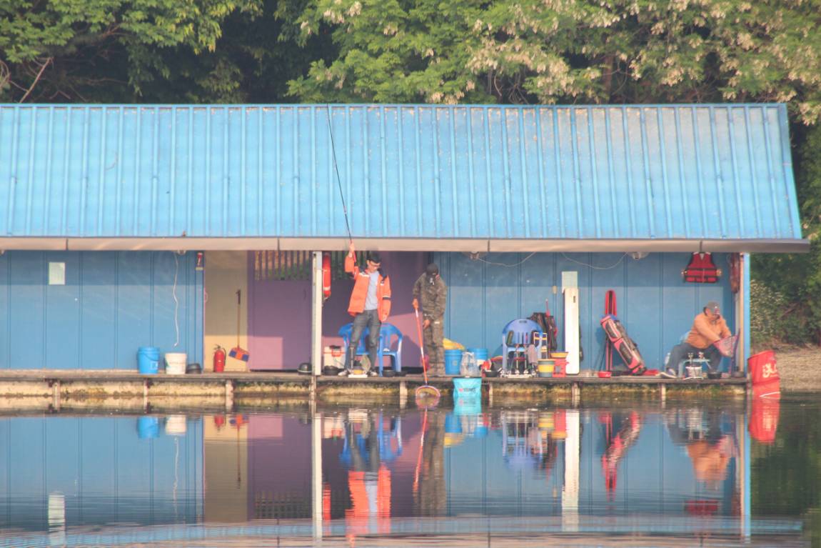 IMG_1386.JPG