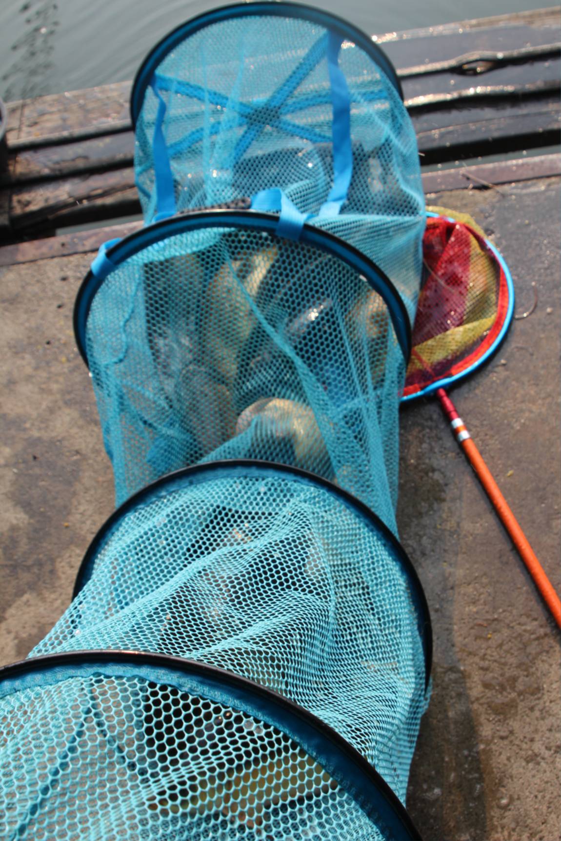 IMG_1395.JPG