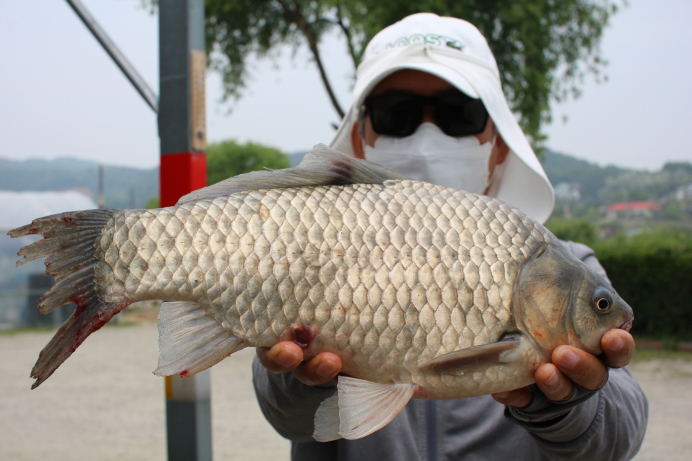 [크기변환]IMG_4558.JPG