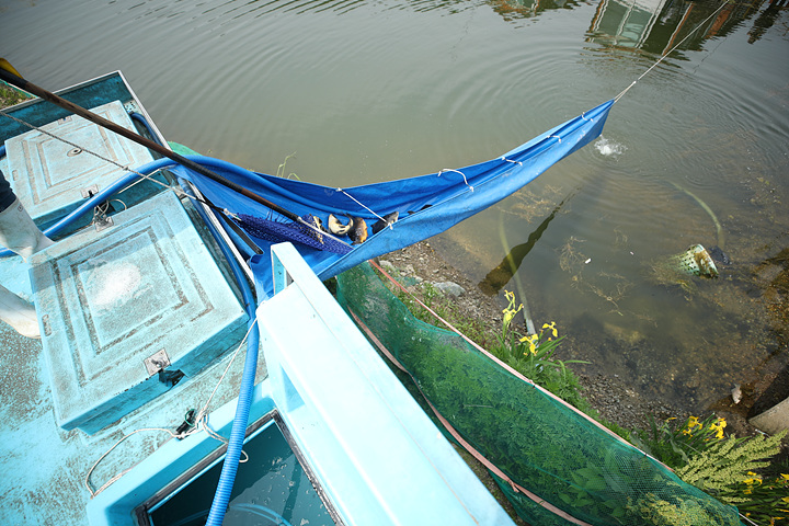 AE2I7887.jpg