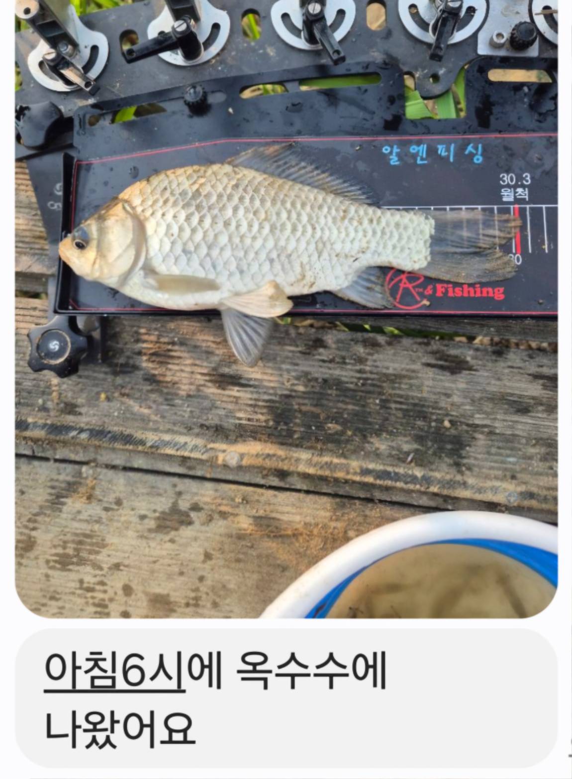 Screenshot_20250531_072038_Messages.jpg