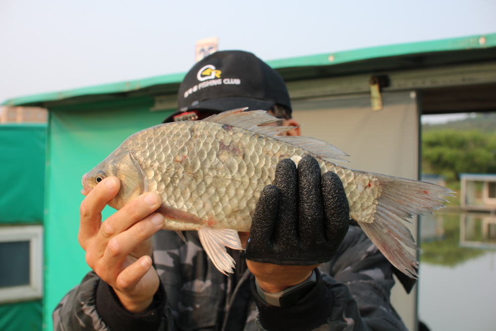 [크기변환]IMG_4633.JPG