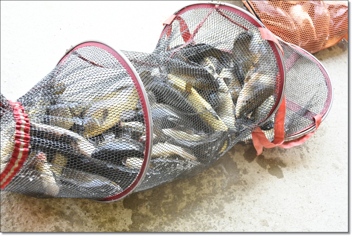 DSC_2783.JPG