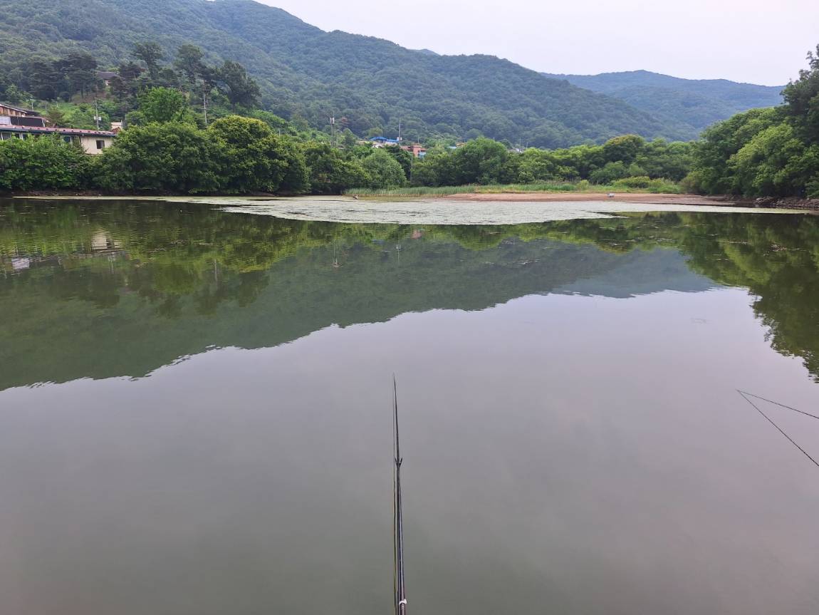 KakaoTalk_20250602_083611600_04.jpg