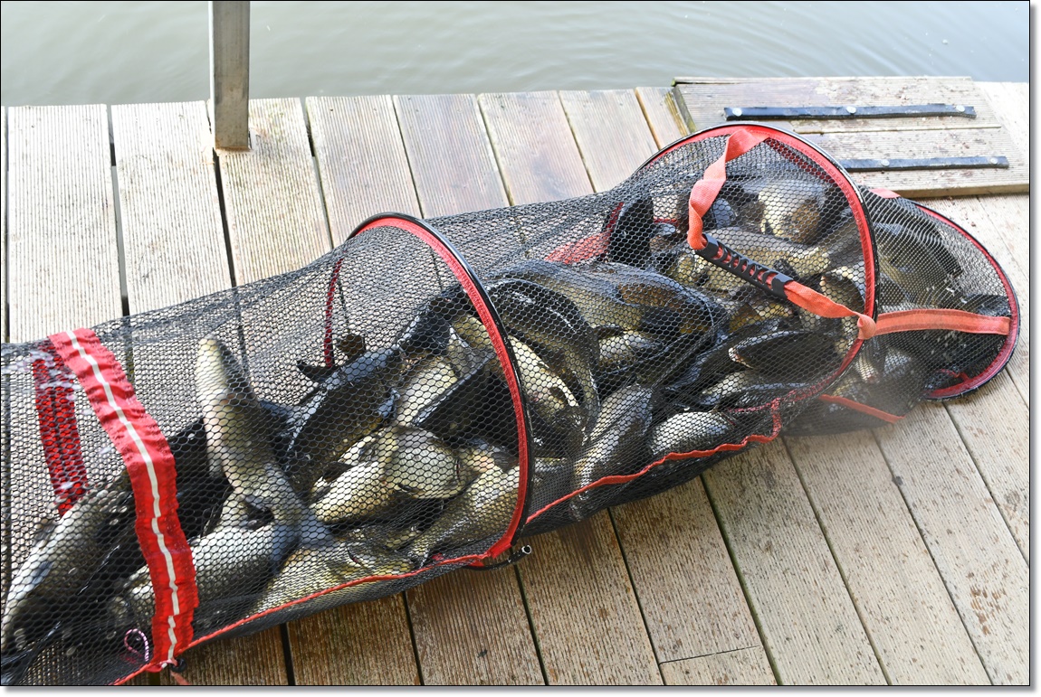 DSC_2880.JPG