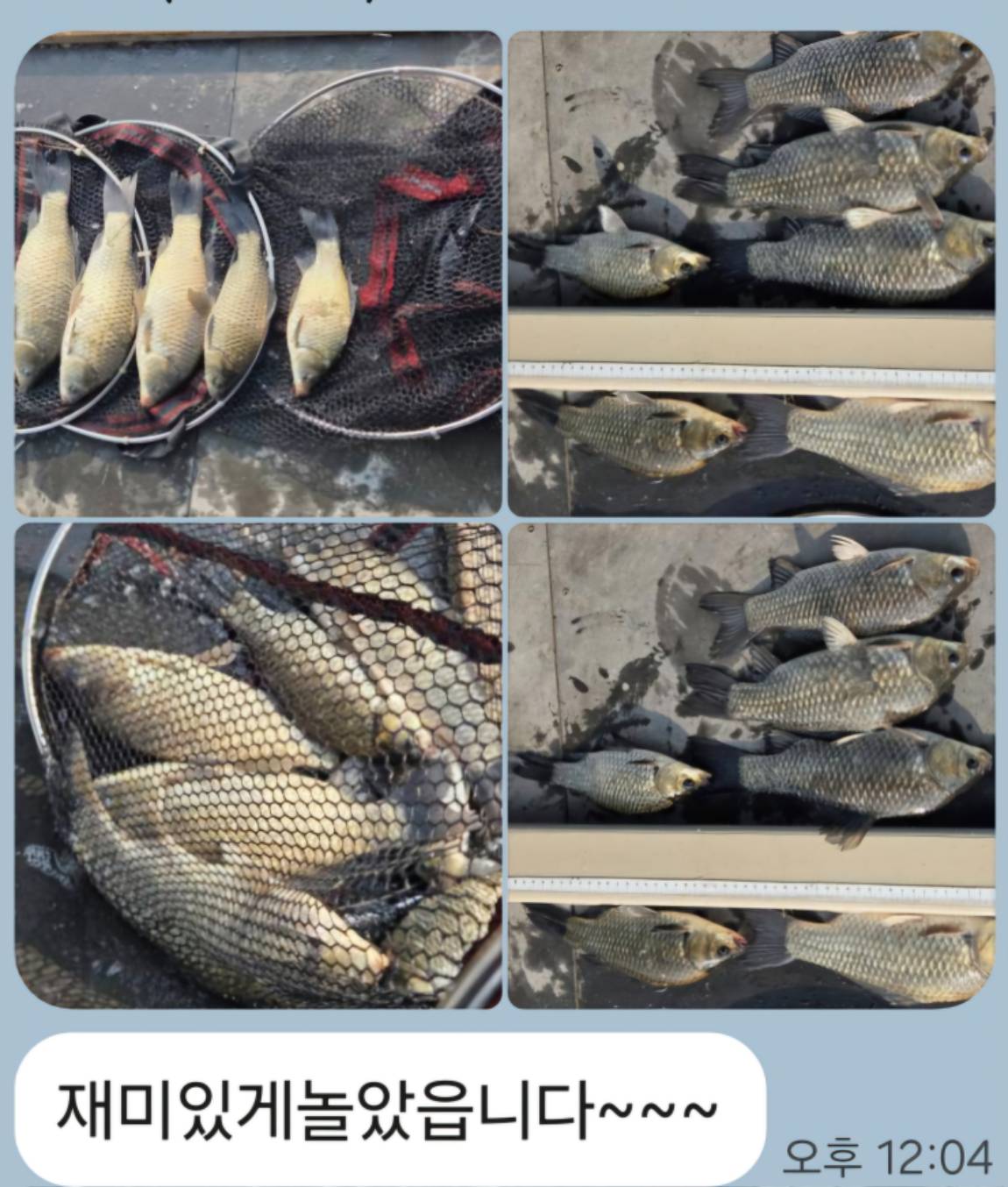 Screenshot_20250601_120551_KakaoTalk.jpg