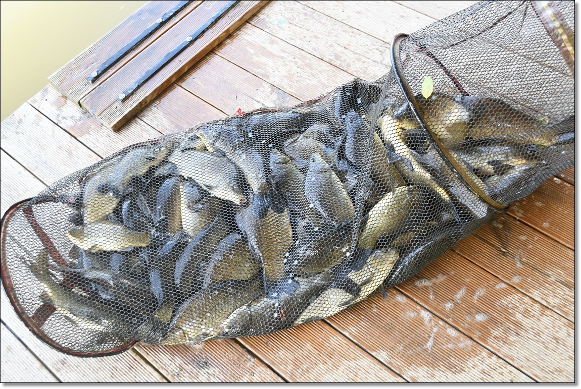 DSC_2990.JPG