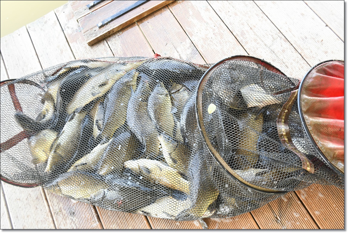 DSC_2993.JPG