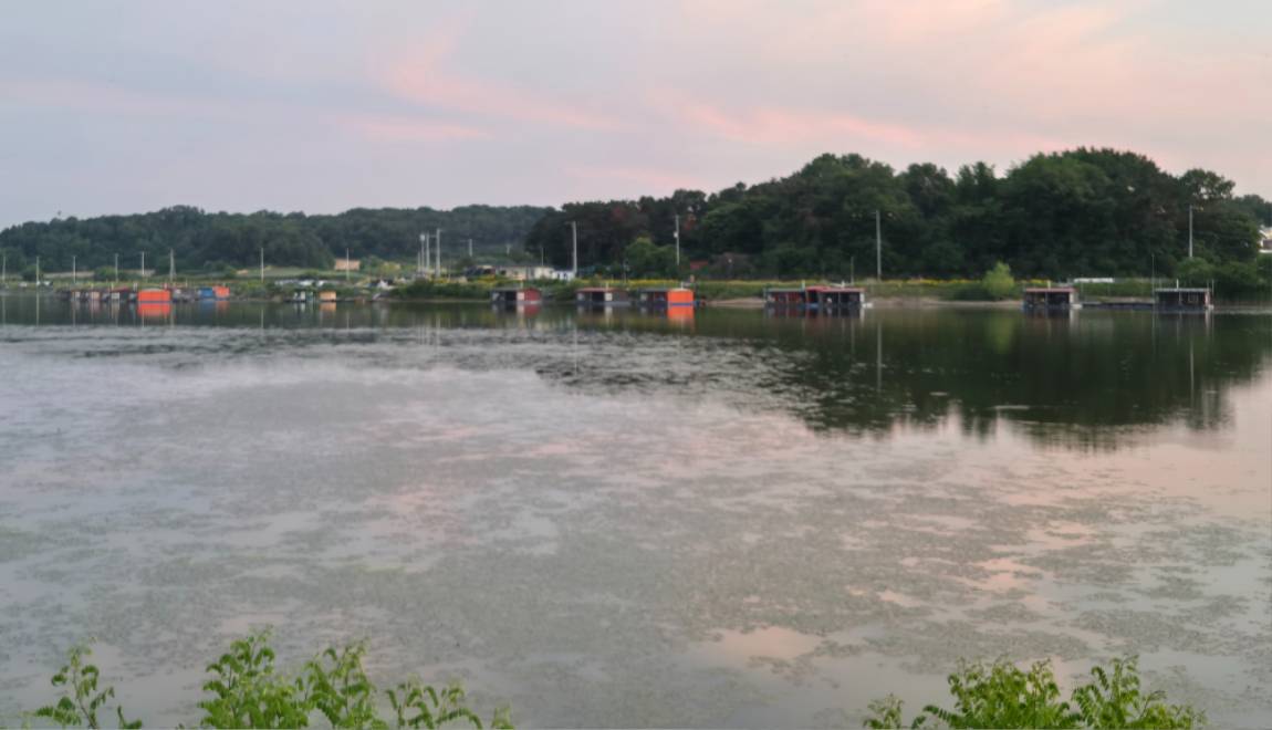 20250606_194900.jpg