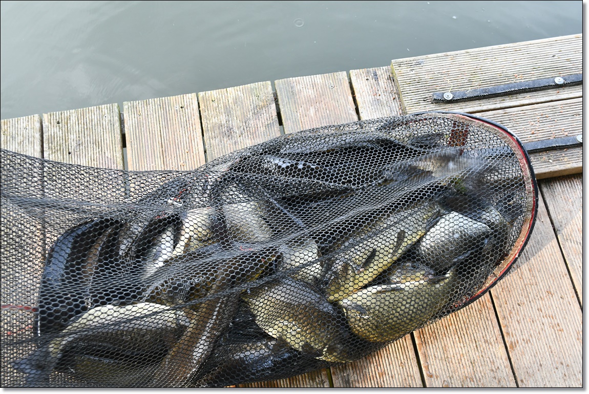DSC_3004.JPG
