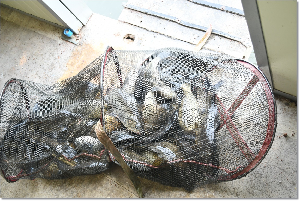 DSC_3040.JPG