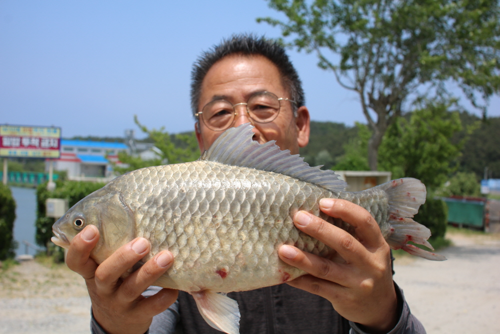 [크기변환]IMG_4979.JPG