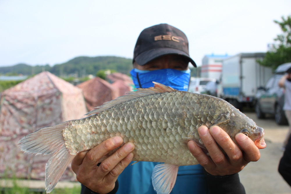 [크기변환]IMG_5235.JPG