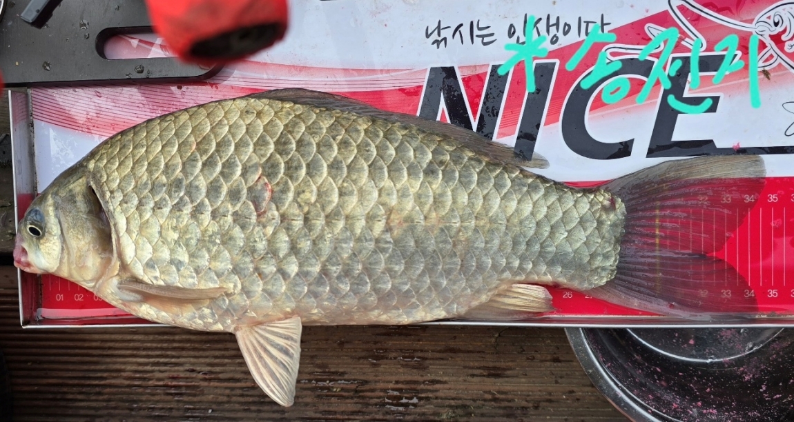 KakaoTalk_20250607_122528155_13.jpg