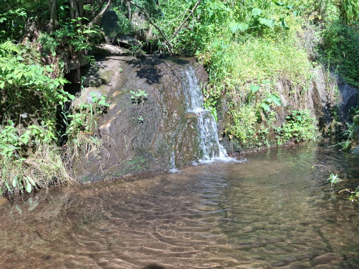20250604_082347.jpg
