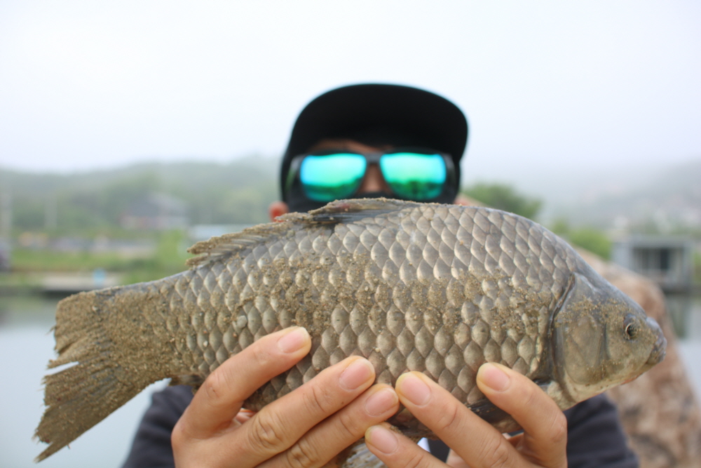[크기변환]IMG_5582.JPG