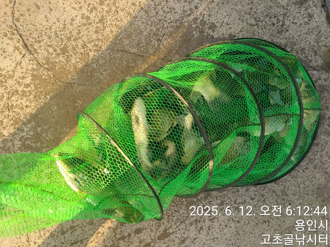 1749683519790.jpg