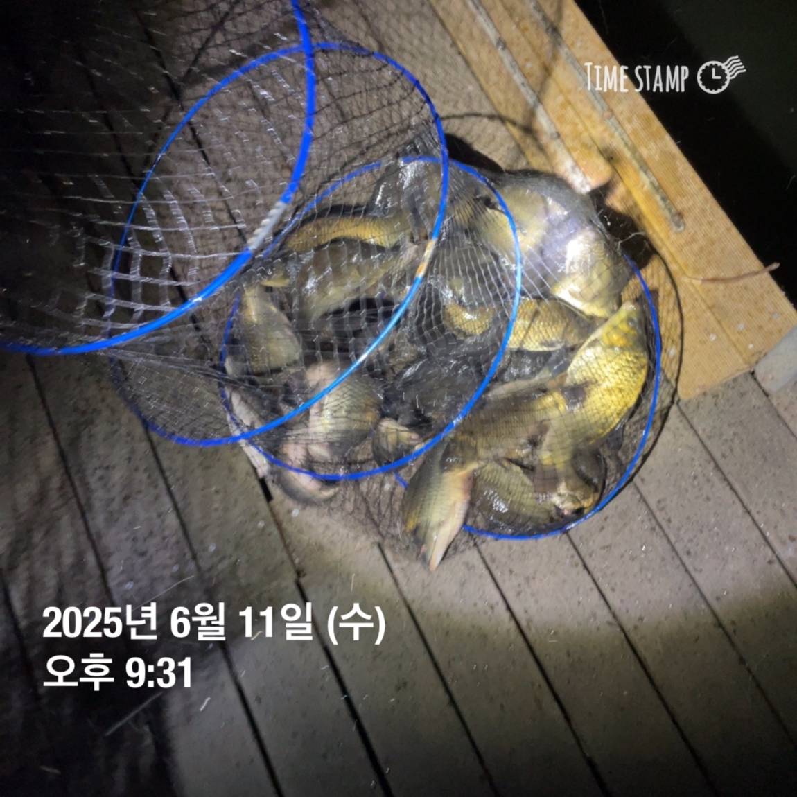 KakaoTalk_20250612_102226965_02.jpg