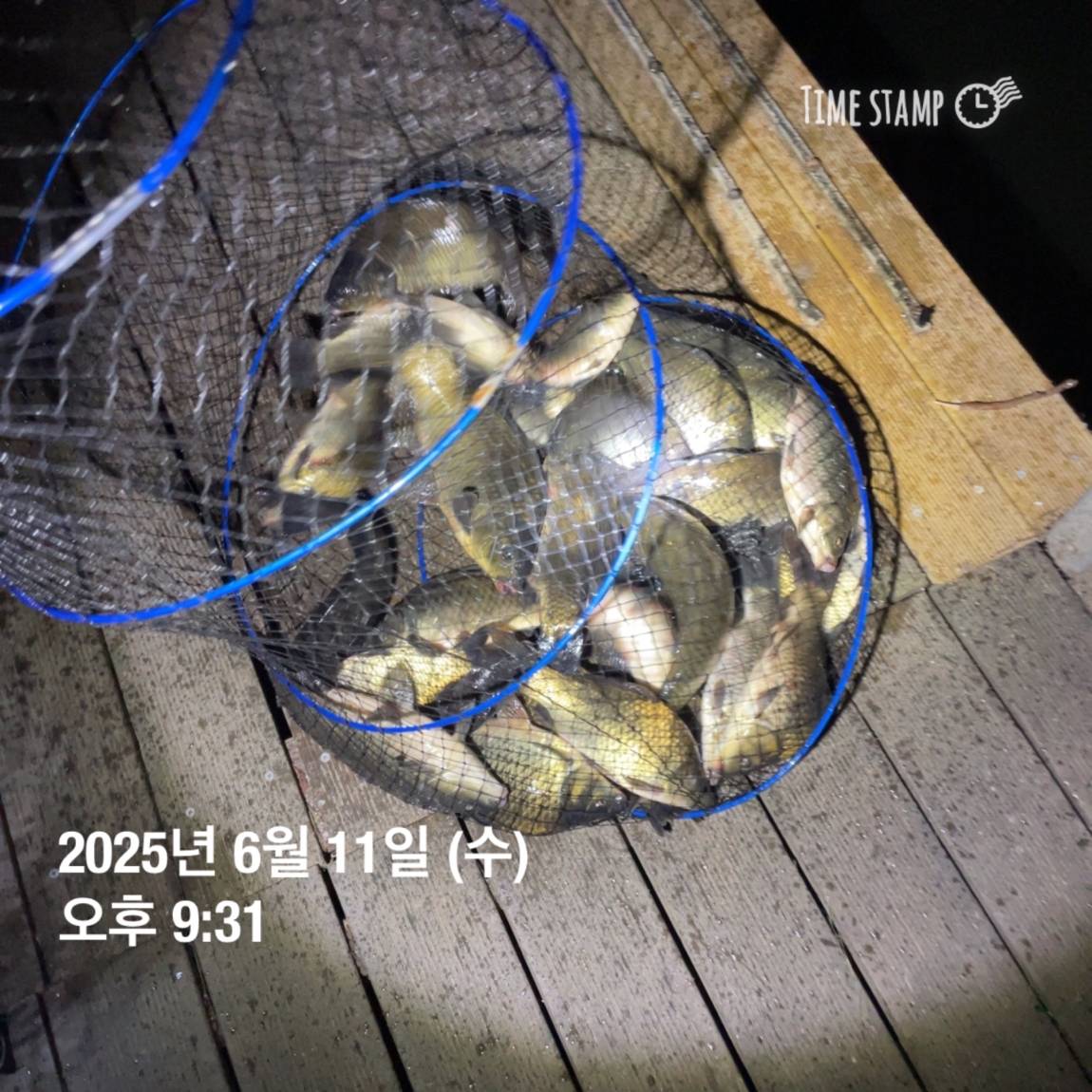 KakaoTalk_20250612_102226965_04.jpg