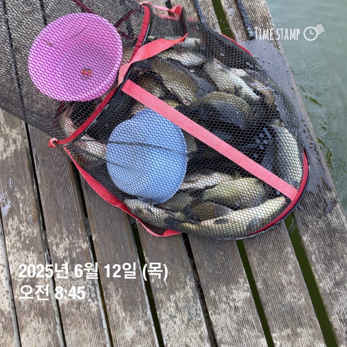 KakaoTalk_20250612_102226965_07.jpg