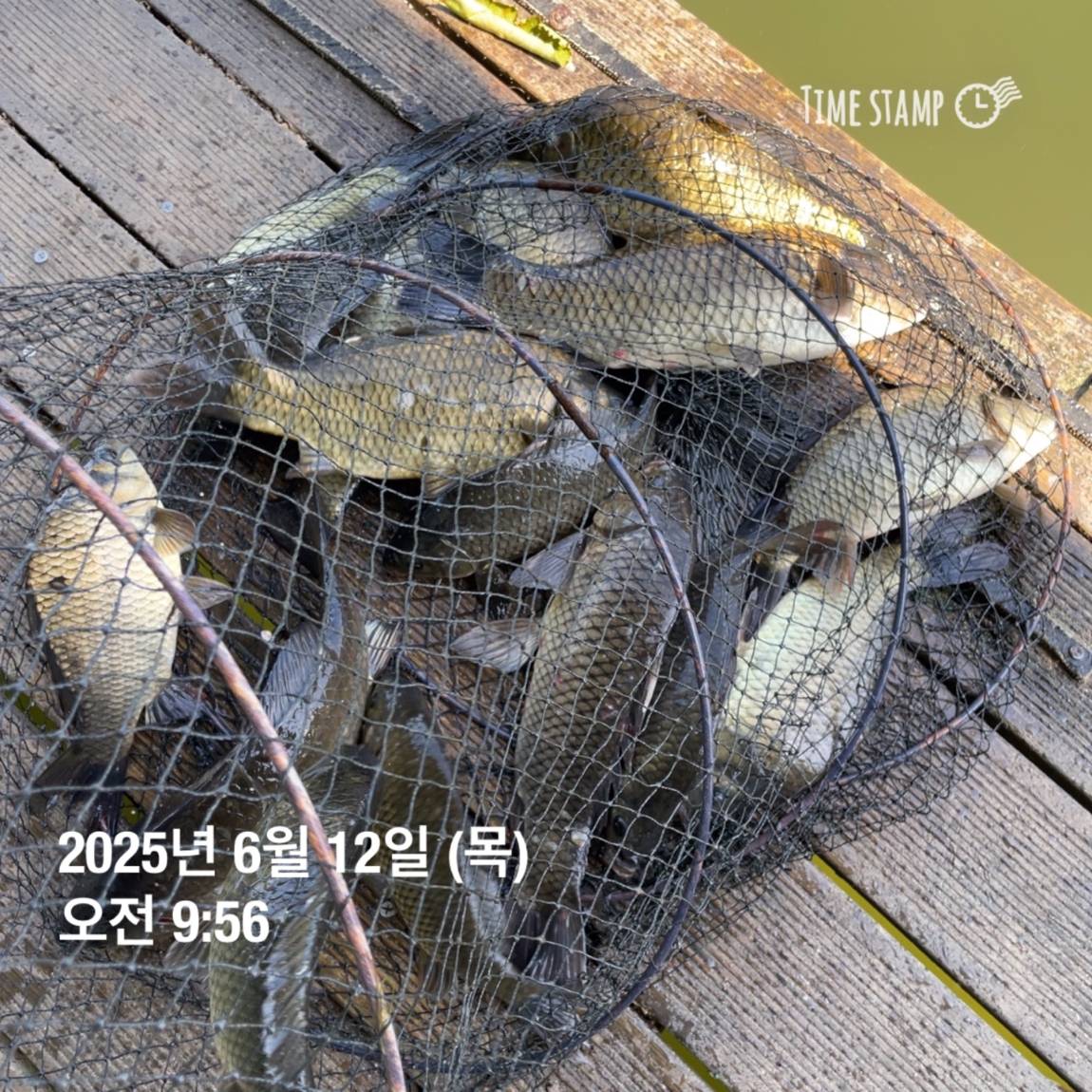 KakaoTalk_20250612_102226965_12.jpg