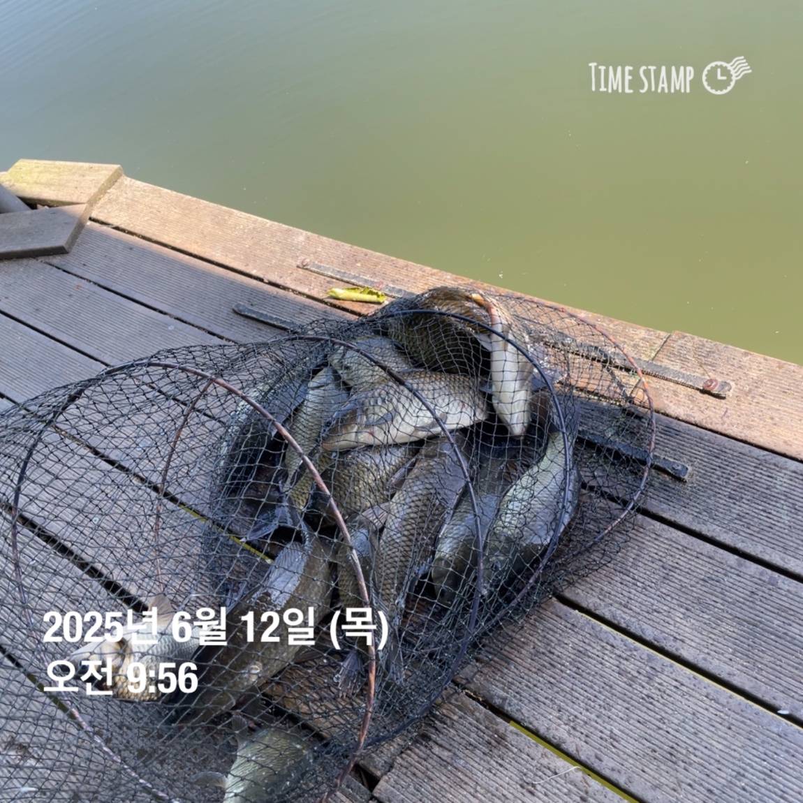 KakaoTalk_20250612_102226965_13.jpg