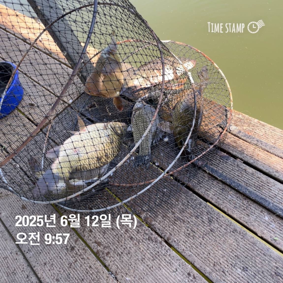 KakaoTalk_20250612_102226965_16.jpg