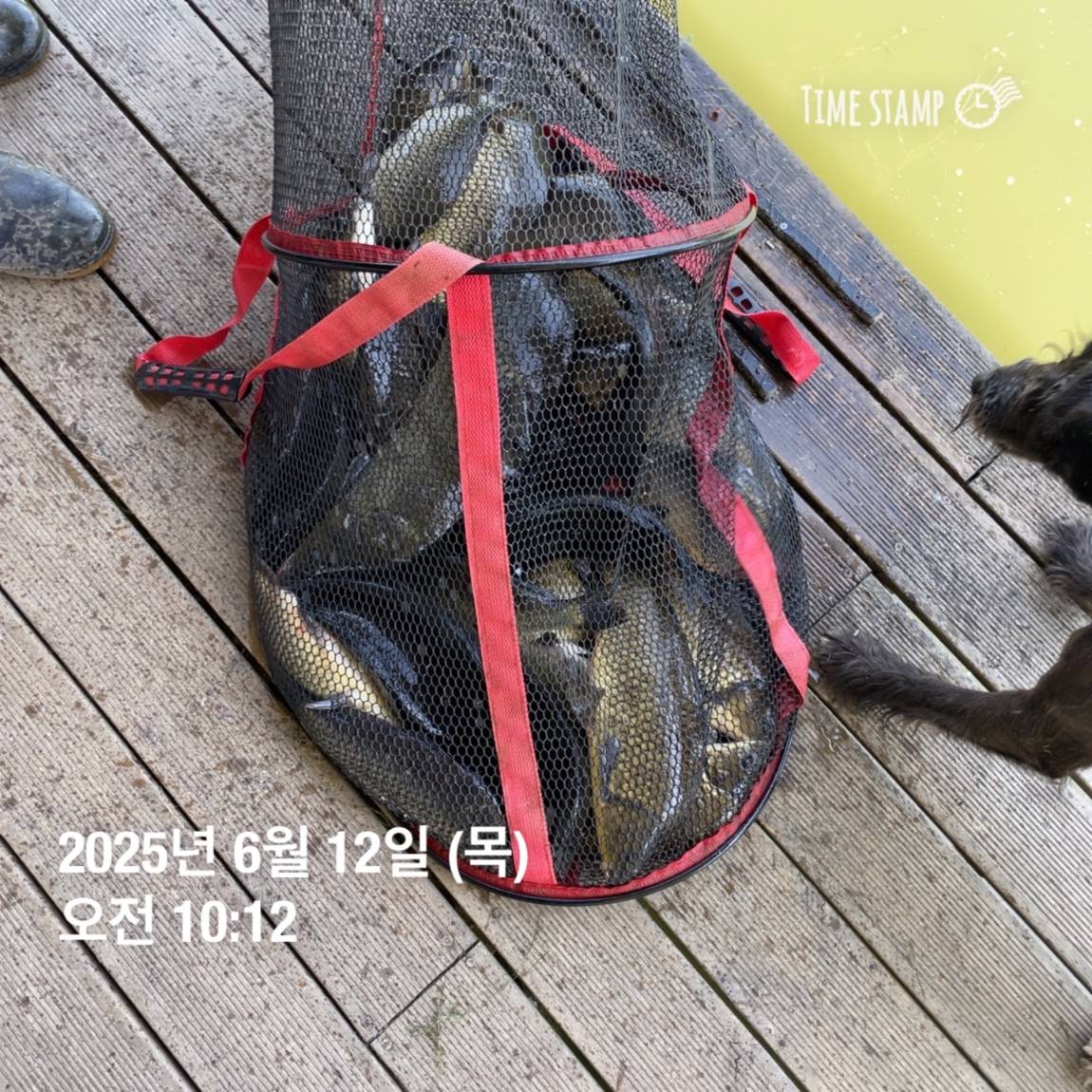 KakaoTalk_20250612_102226965_17.jpg