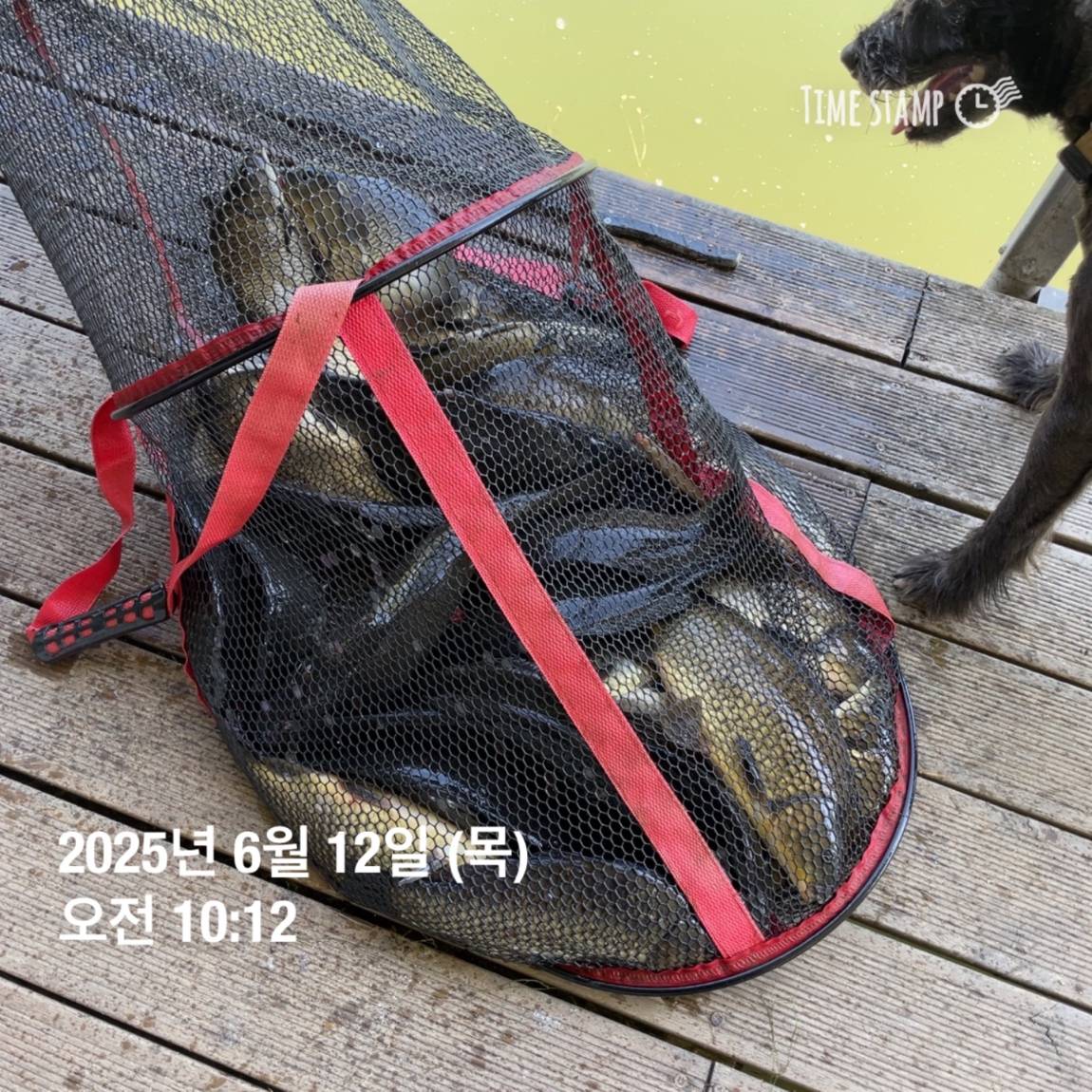 KakaoTalk_20250612_102226965_18.jpg
