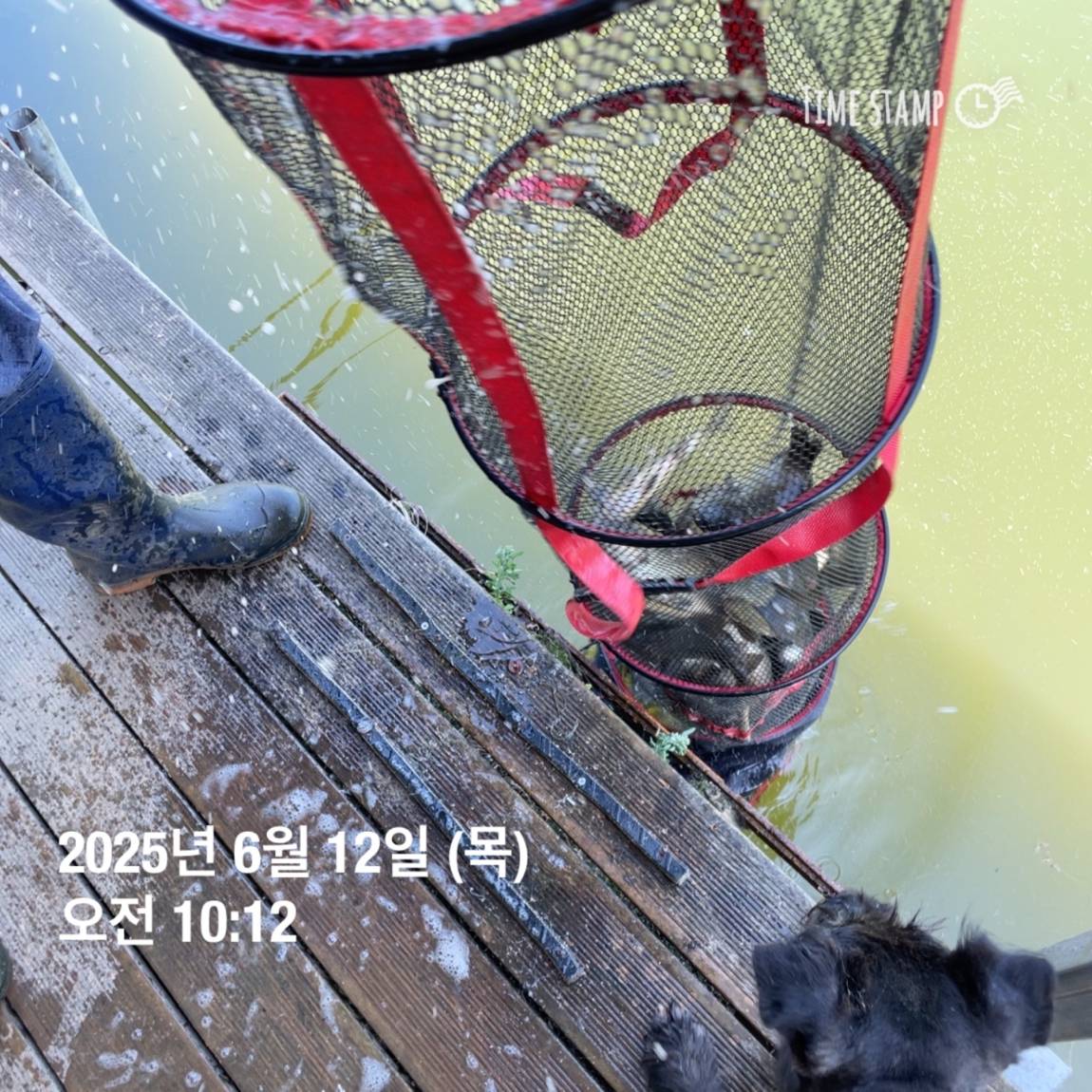 KakaoTalk_20250612_102226965_21.jpg
