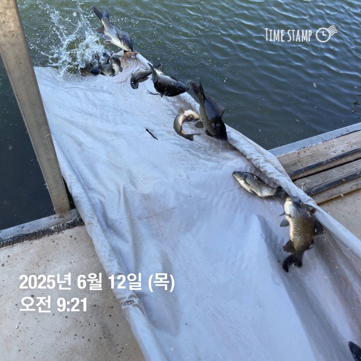 KakaoTalk_20250612_102226965_27.jpg