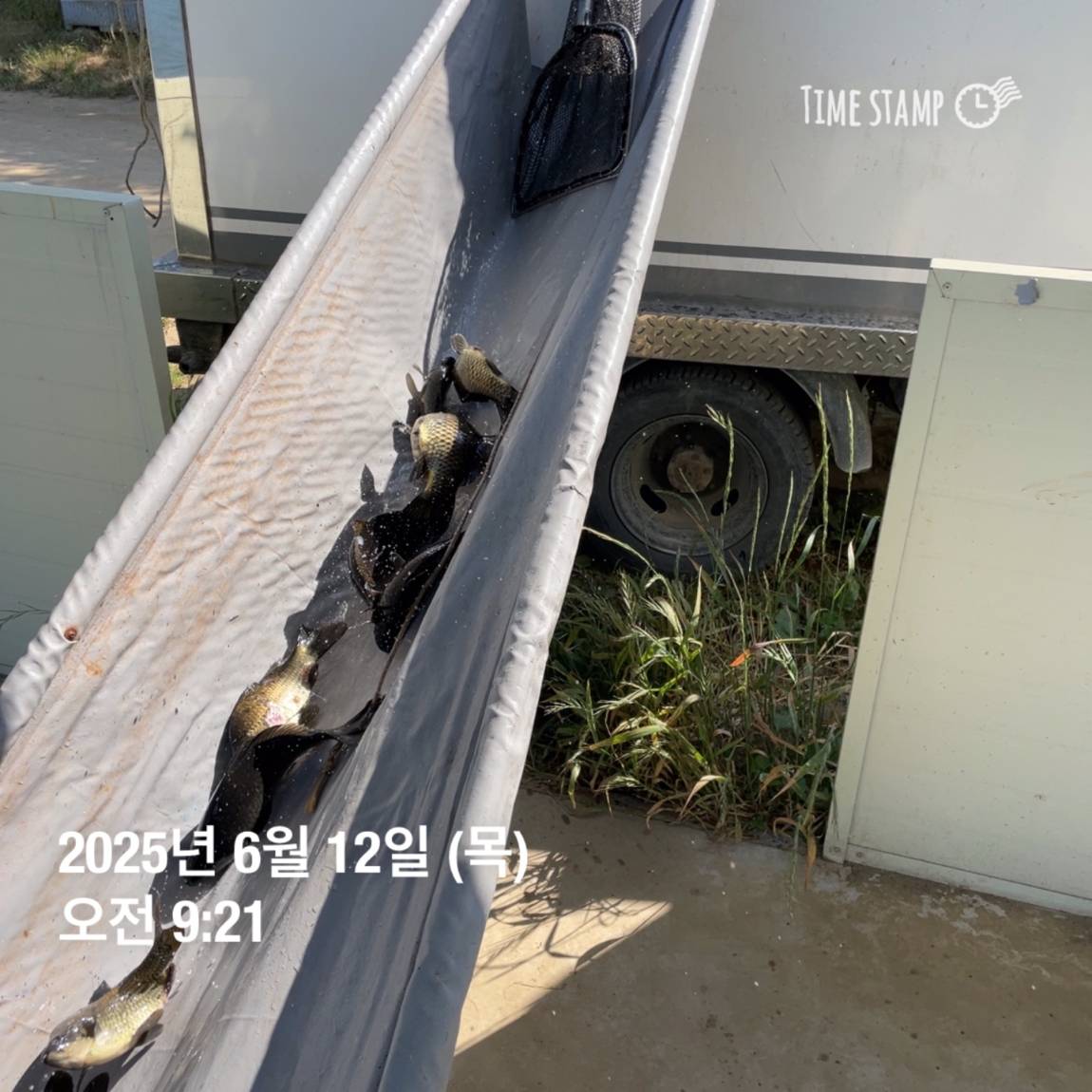 KakaoTalk_20250612_102228486_04.jpg