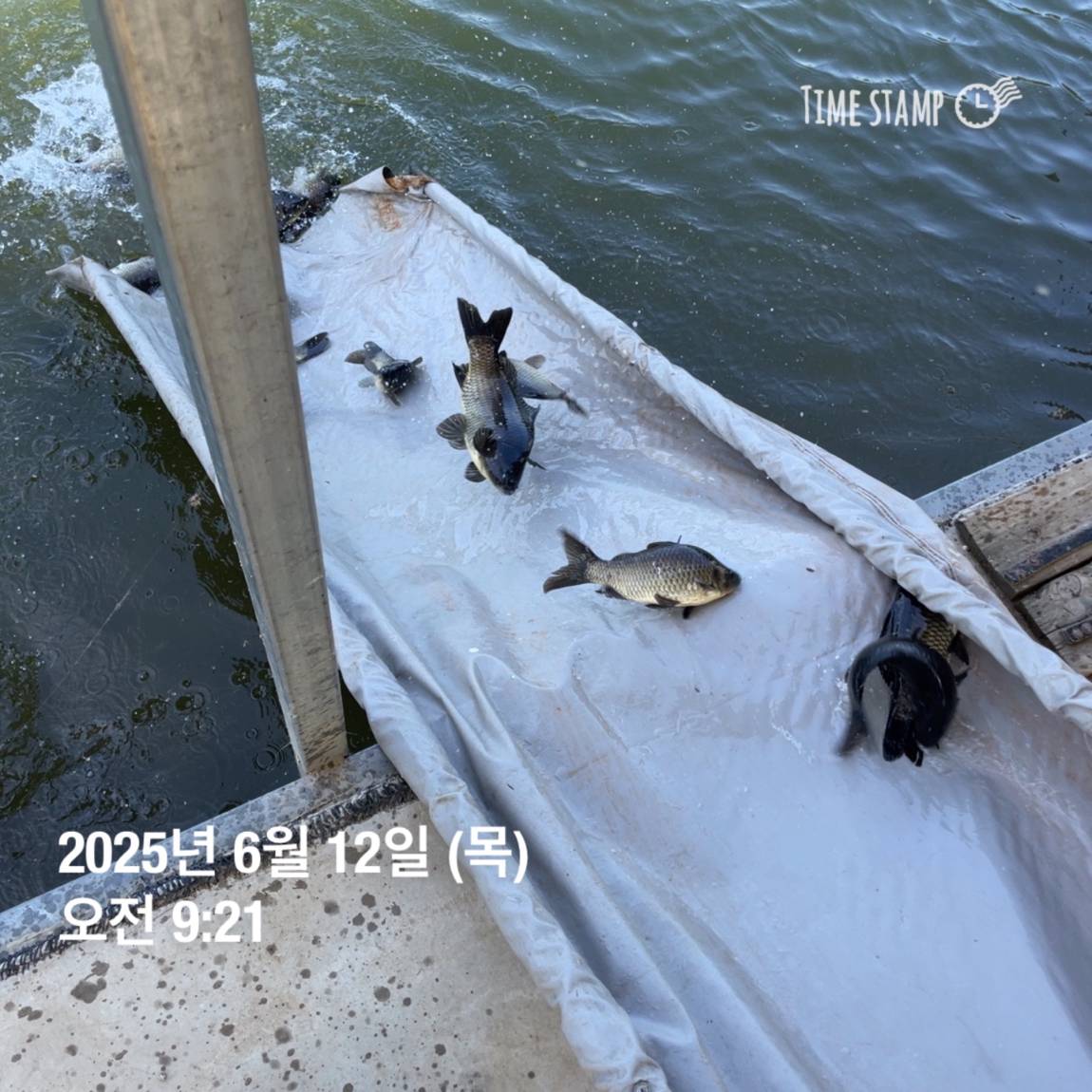 KakaoTalk_20250612_102228486_05.jpg