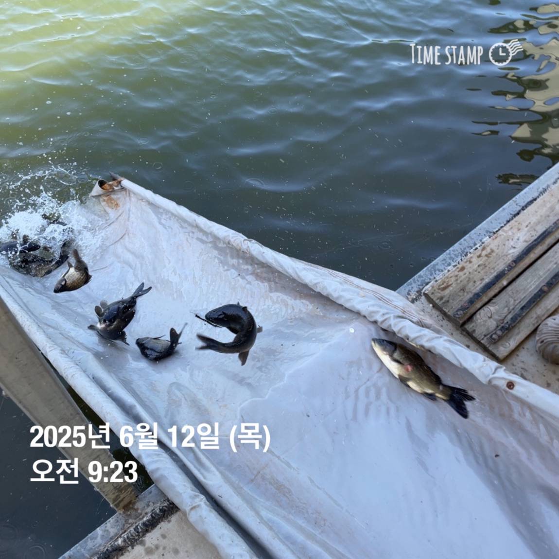 KakaoTalk_20250612_102228486_08.jpg