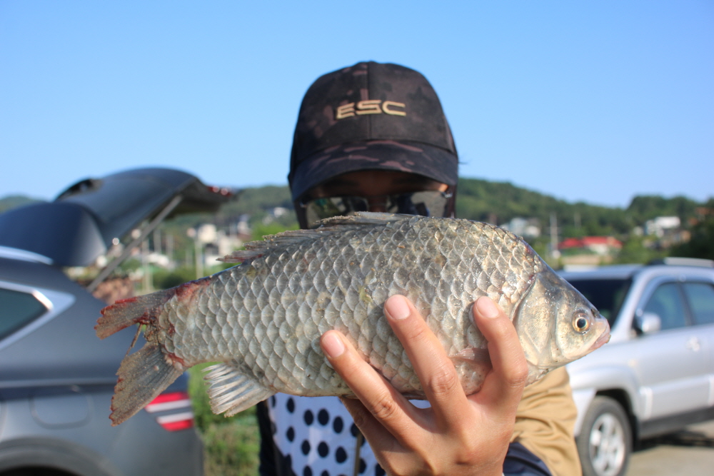 [크기변환]IMG_5602.JPG