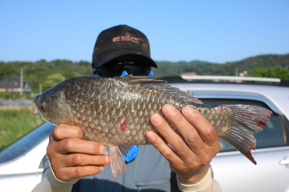 [크기변환]IMG_5605.JPG
