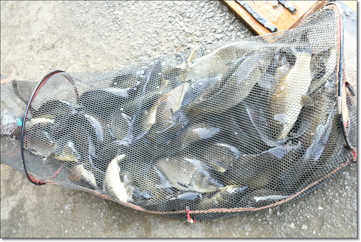 DSC_3188.JPG