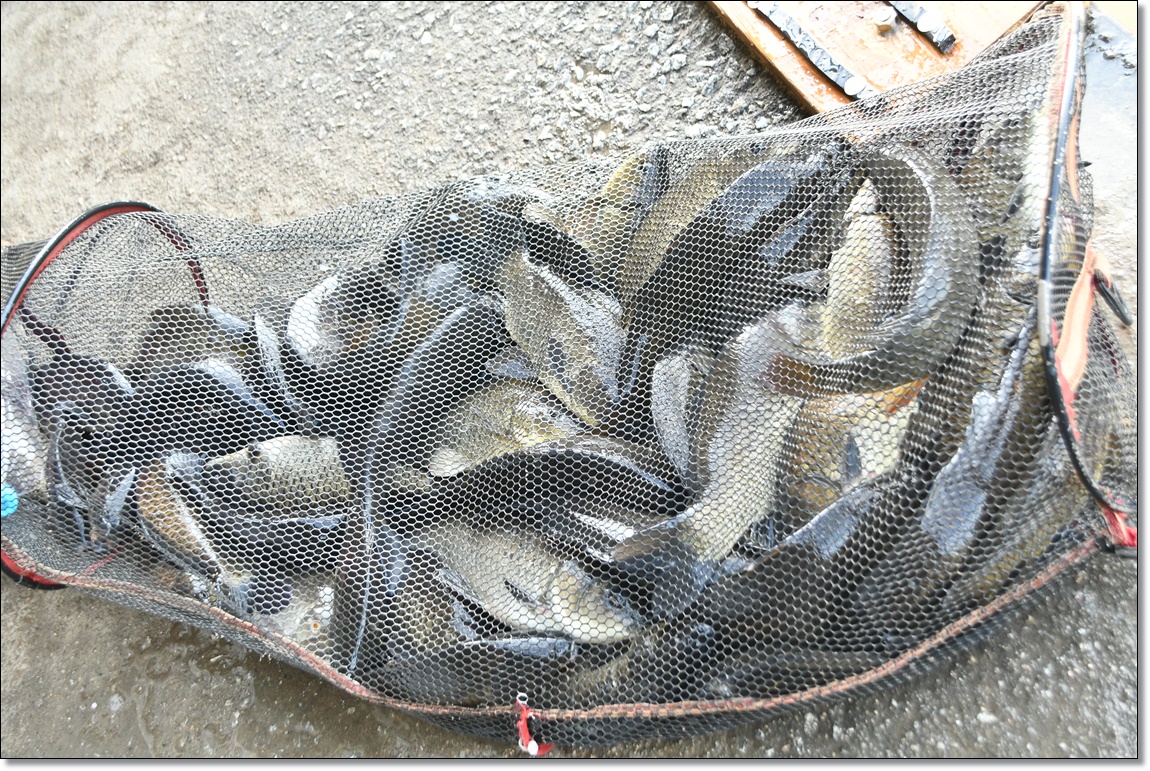 DSC_3192.JPG
