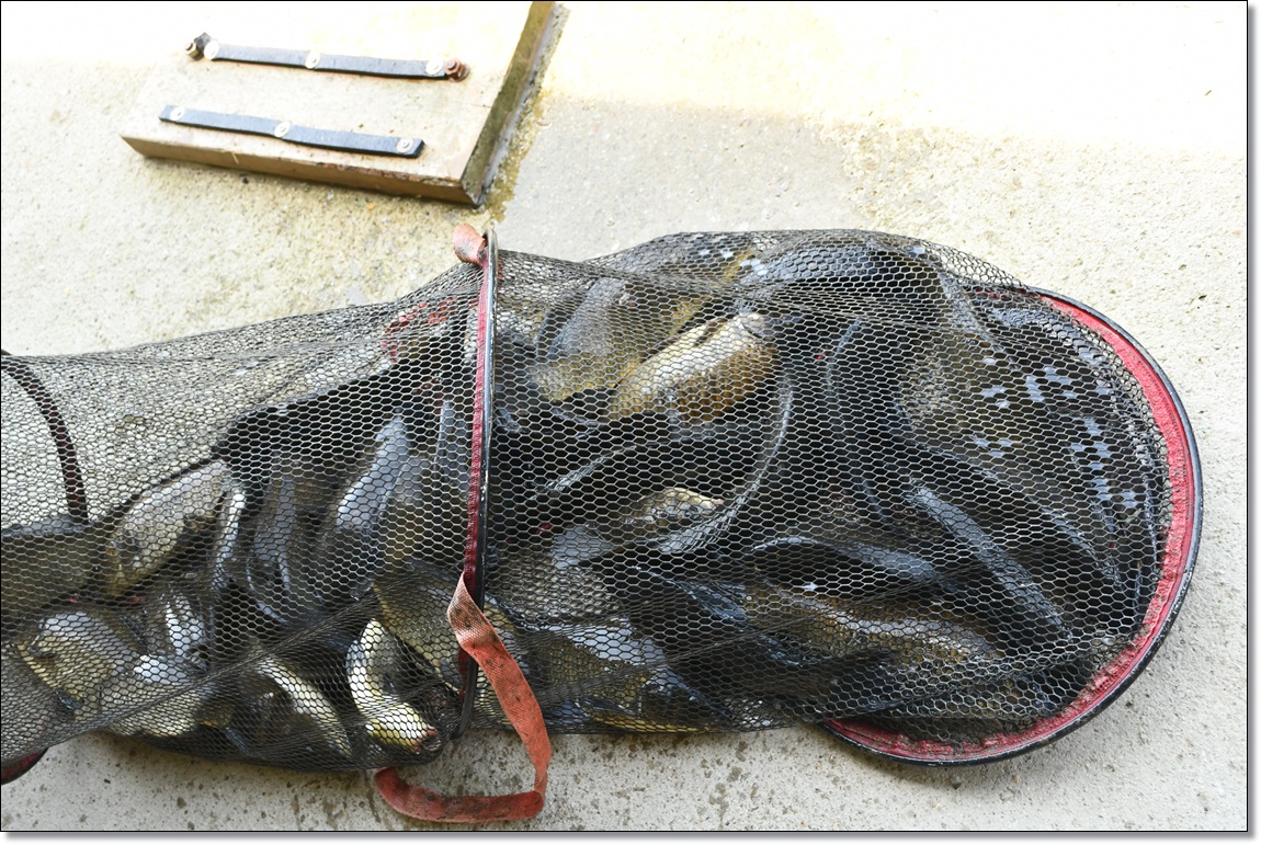 DSC_3212.JPG