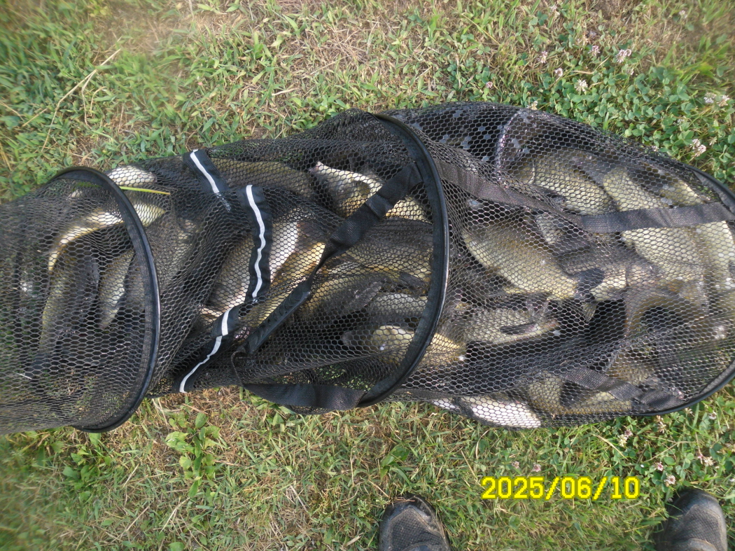 SAM_3290.JPG