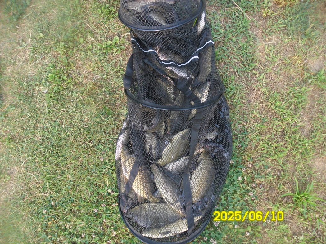SAM_3291.JPG