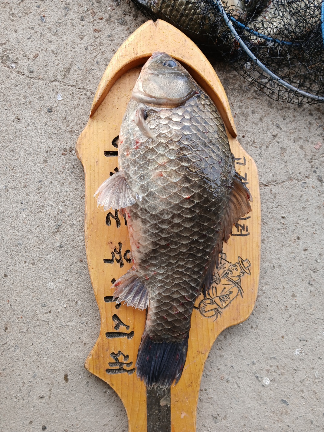KakaoTalk_20250610_094833959_07.jpg