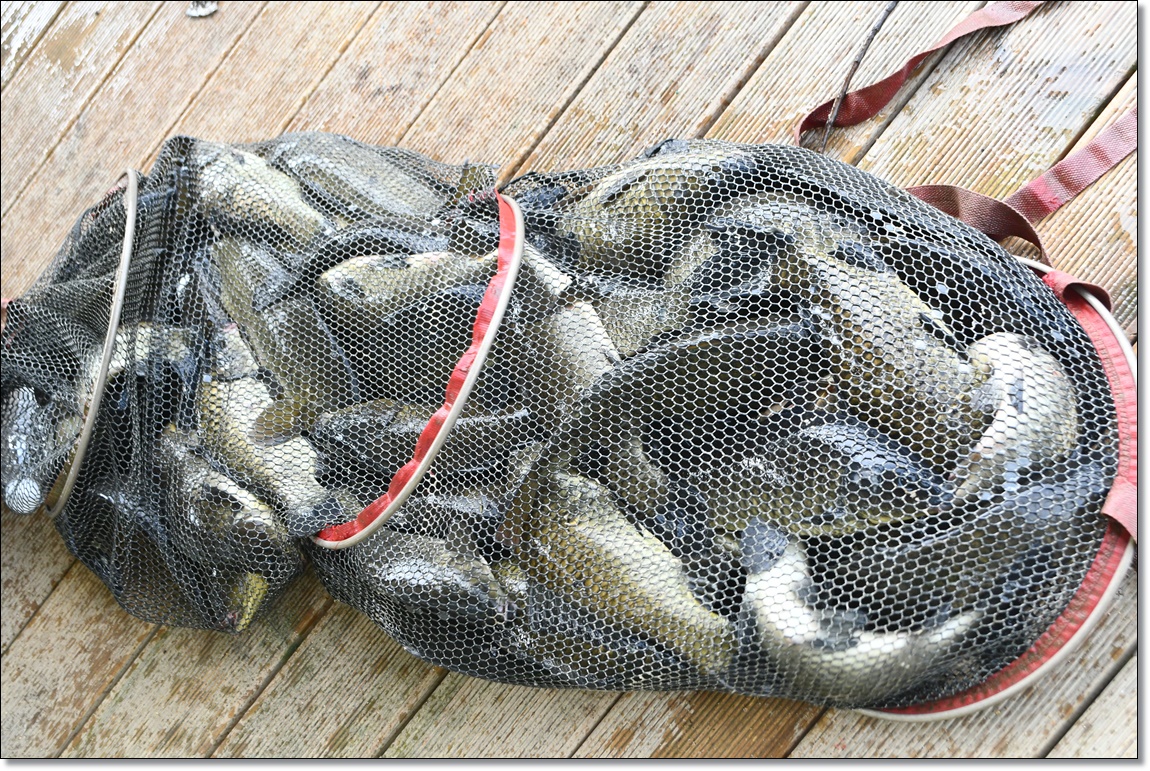DSC_3276.JPG